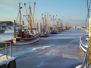 Dorumer Hafen im Winter