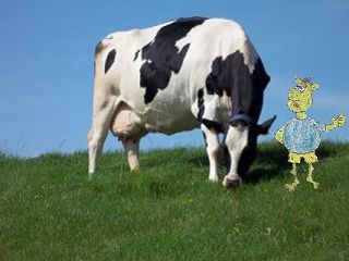 Dorumer Schalk mit Kuh